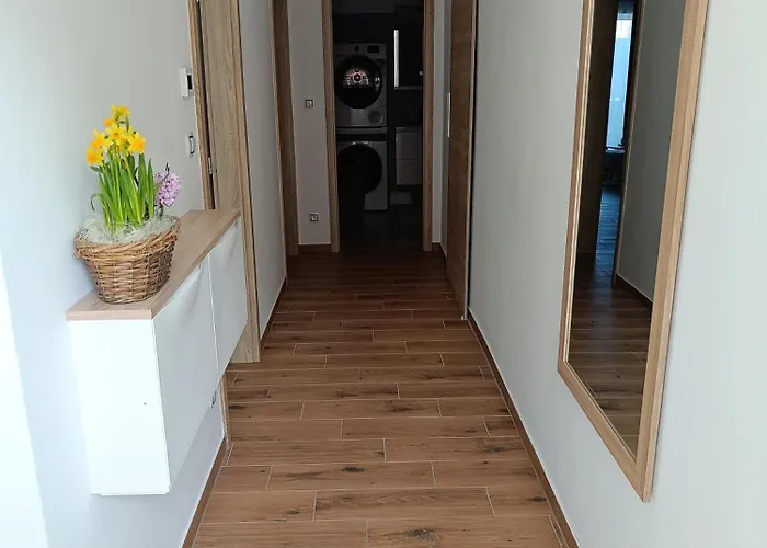 Pregrtovi * Bořetice